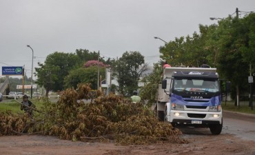 El Municipio realiz&oacute; trabajos de limpieza por las lluvias