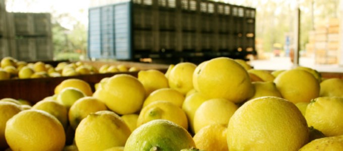 Cinco veces m&aacute;s caro en la g&oacute;ndola que en el campo