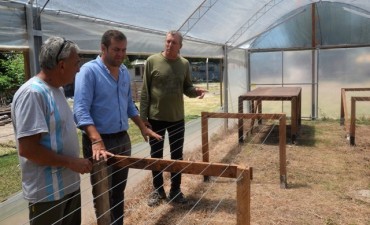 Avanza la recuperaci&oacute;n del vivero municipal de cultivo arb&oacute;reo