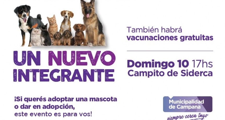 Se viene una nueva jornada de adopci&oacute;n responsable de mascotas   