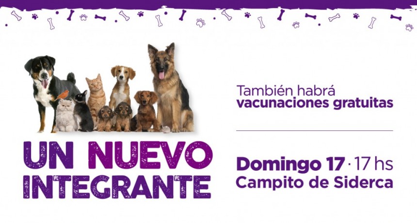 Mascotas: este domingo se realizar&aacute; una nueva jornada de adopci&oacute;n responsable 