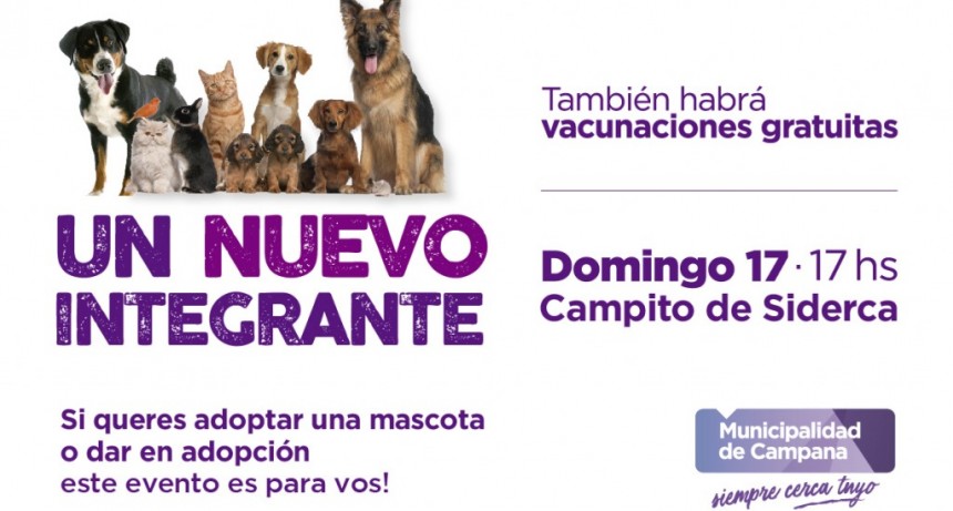 Mascotas: ma&ntilde;ana se realizar&aacute; una nueva jornada de adopci&oacute;n responsable