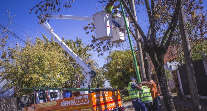 Este a&ntilde;o, el Municipio colocar&aacute; 1.250 nuevas luminarias en el casco urbano y los barrios