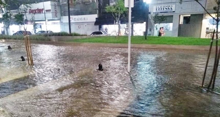 &ldquo;El Municipio debe reconocer que la obra  de la Av. Rocca es un verdadero fracaso&rdquo;