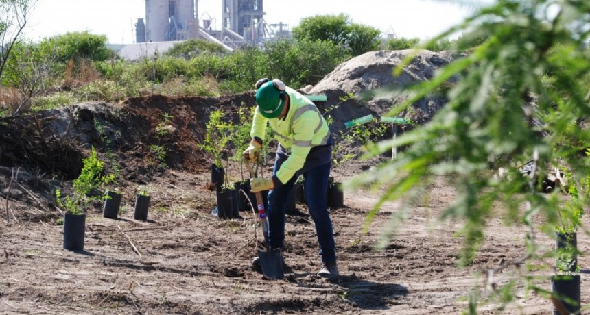 Holcim Argentina presenta los resultados   de su Gesti&oacute;n Ambiental 