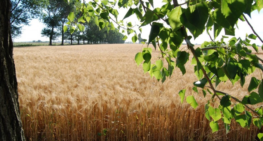 Syngenta y The Nature Conservancy trabajan para conciliar sistemas productivos y ambientes nativos.