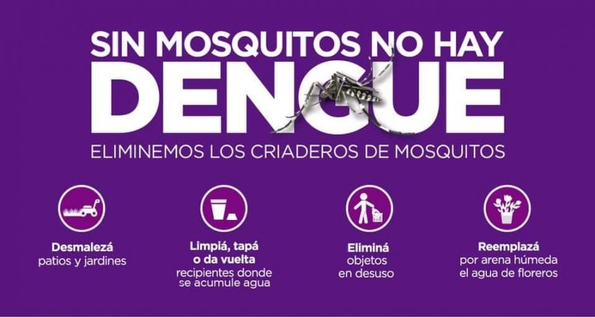 El Municipio contin&uacute;a con la campa&ntilde;a contra el Dengue 