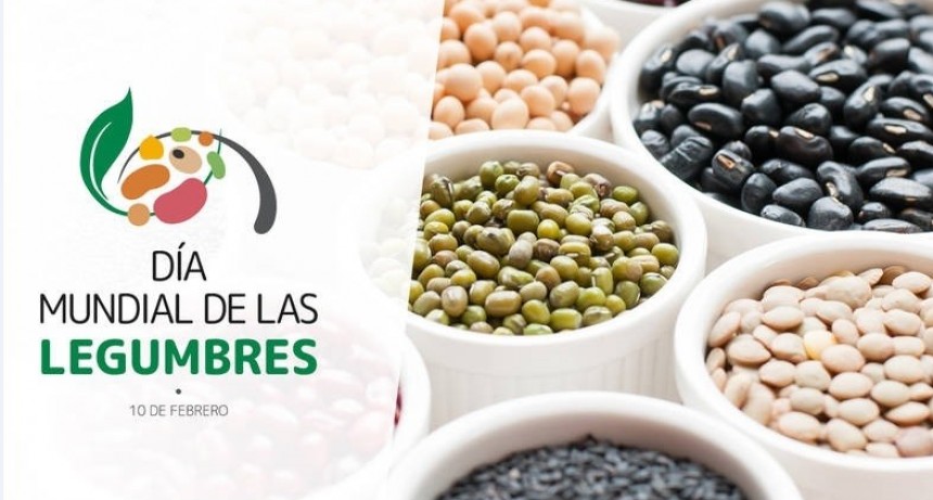 Destacan la importancia de las legumbres para lograr una alimentación saludable