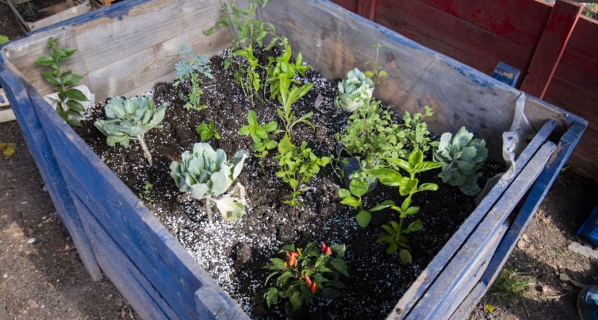 Naturgy lanzó la edición 2021 del programa  Sembrando Futuro