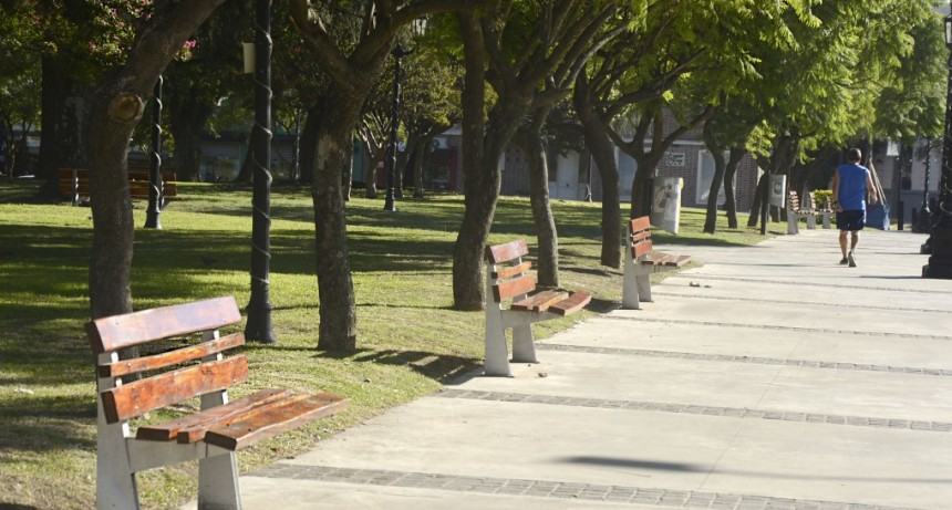 Es continuo y diario el mantenimiento de las plazas 