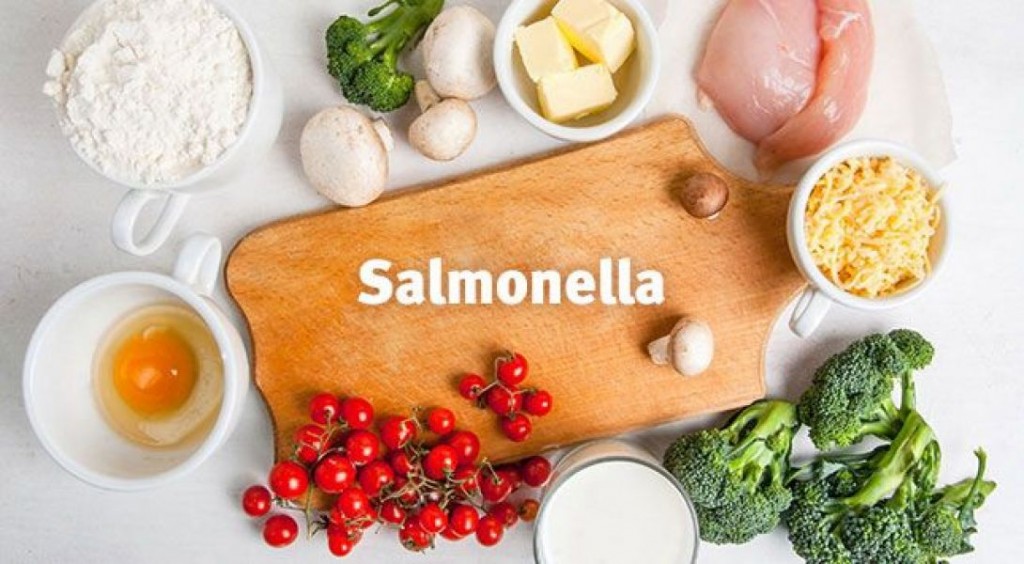 Casos de Salmonella y Shigella: recomendaciones para evitar su propagación