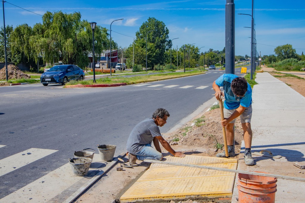 Avenida Alfonsín: ahora el Municipio construye las rampas de acceso a las veredas 