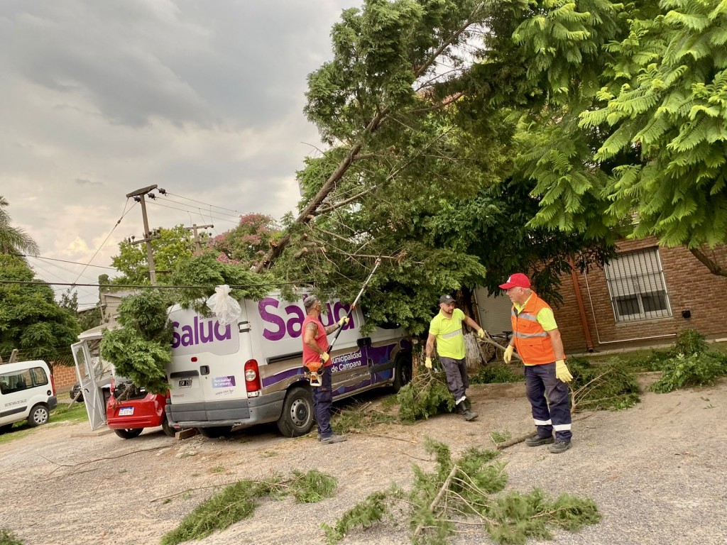 Intensos trabajos de las cuadrillas del Municipio tras los fuertes vientos 