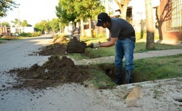 Las &Aacute;reas de Obras y Servicios P&uacute;blicos contin&uacute;an trabajando en Mantenimiento y Limpieza de la Ciudad