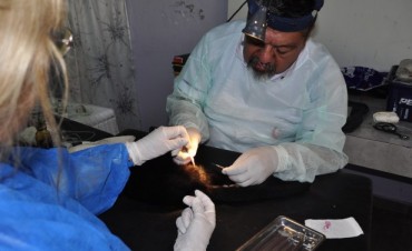 R&eacute;cord de castraciones y vacunaciones en La Josefa