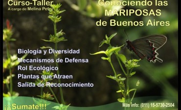 &ldquo;Conociendo las Mariposas de Buenos Aires&rdquo;