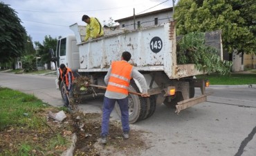 Tras el reclamo de vecinos al CEMAV, retiran mont&iacute;culos de ramas y residuos