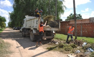Dengue: operativo de descacharrizaci&oacute;n en La Josefa