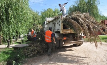 Dengue: limpieza y descacharrizaci&oacute;n en Santa Luc&iacute;a y San Cayetano