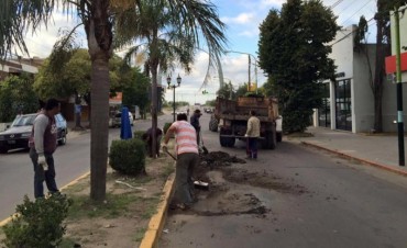 El Municipio comenz&oacute; con la reparaci&oacute;n de la avenida Varela 