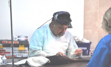 Los operativos de castraci&oacute;n y vacunaci&oacute;n llegan al barrio Albizola