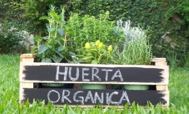 Regresan los talleres del programa &ldquo;Pro-Huerta&rdquo;