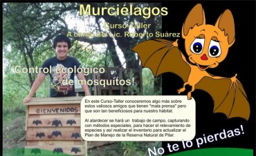 La Asociaci&oacute;n Patrimonio Natural invita a una especial actividad con murci&eacute;lagos