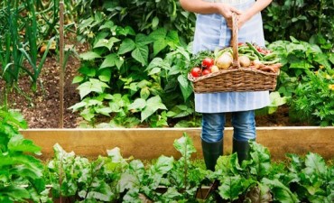 Ma&ntilde;ana comienzan los talleres de Pro- Huerta