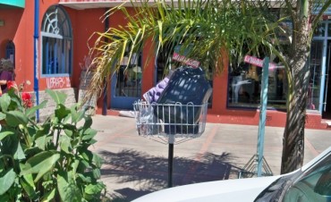 Se recuerda a los vecinos el cronograma semanal de retiro de residuos s&oacute;lidos urbanos