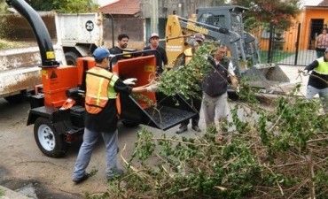 Intensifican el uso de la chipeadora para mejorar la higiene de la ciudad
