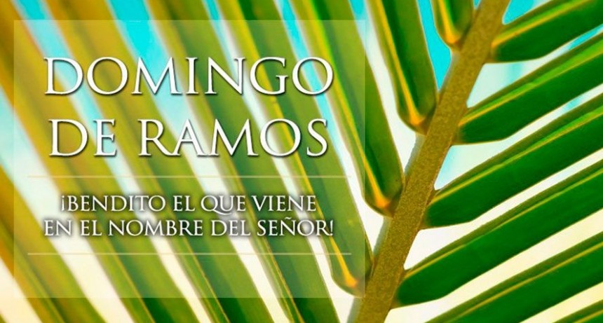 DOMINGO DE RAMOS COMENZAMOS A CONTEMPLAR LA VIDA PLENA