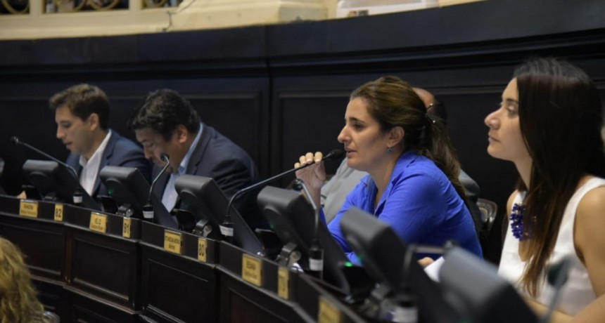 DIPUTADOS APROB&Oacute; ADHESI&Oacute;N A LA &ldquo;LEY MICAELA&rdquo; 