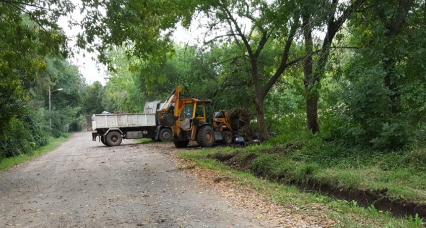 Se realizaron tareas de limpieza en Parque Natura y La Herradura