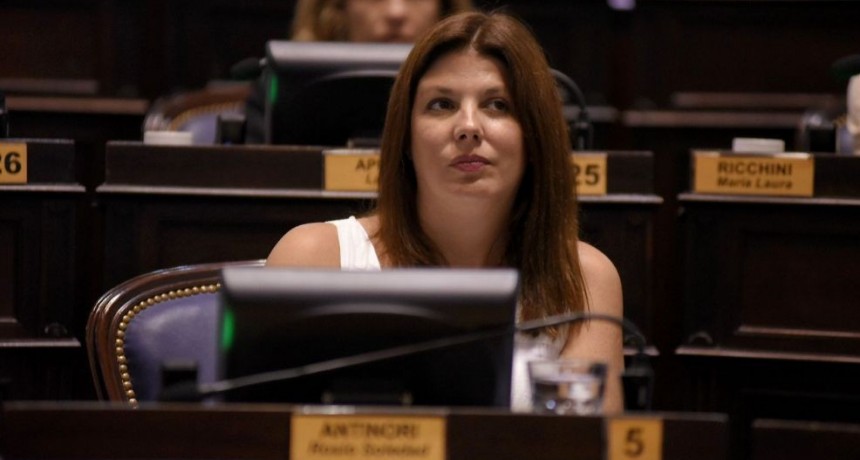 Antinori: "La generaci&oacute;n distribuida revoluciona el sistema energ&eacute;tico"