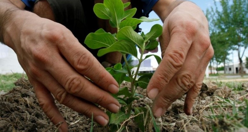 Comenzaron los talleres de Pro-Huerta