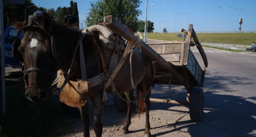 Secuestran dos carros en controles que llev&oacute; a cabo la polic&iacute;a rural
