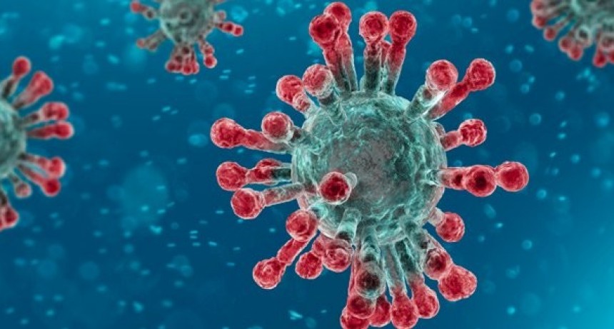 Coronavirus: el Municipio suspende actividades