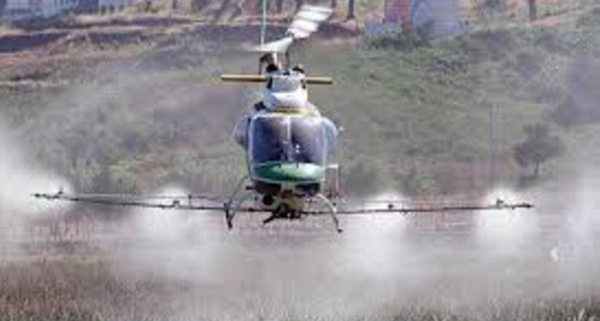 No hay toque de queda ni fumigaci&oacute;n en helic&oacute;pteros
