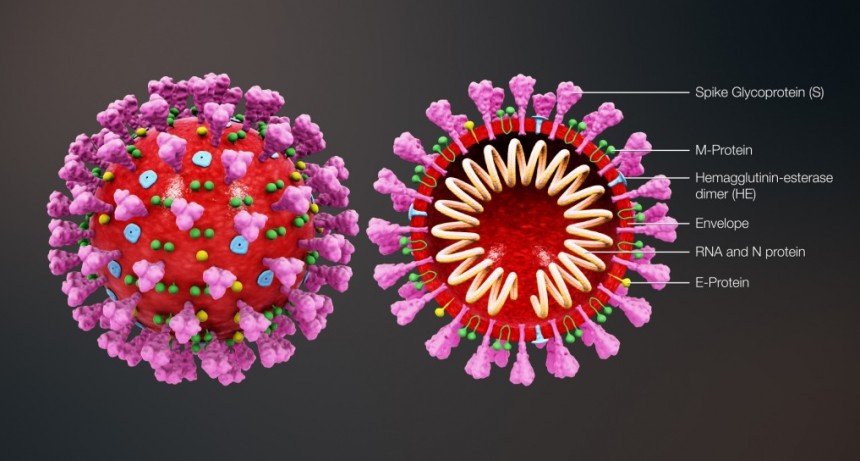 El Gobierno de la Provincia puso en funcionamiento el Autotest y Asistencia Coronavirus
