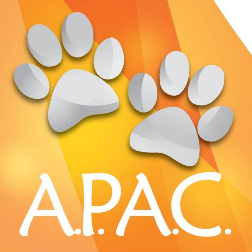 Asociaci&oacute;n Protectora de Animales Campana realiza un trabajo importante para las mascotas perdidas