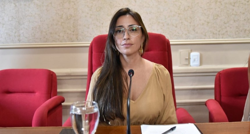 Casaretto les pidió a los concejales 