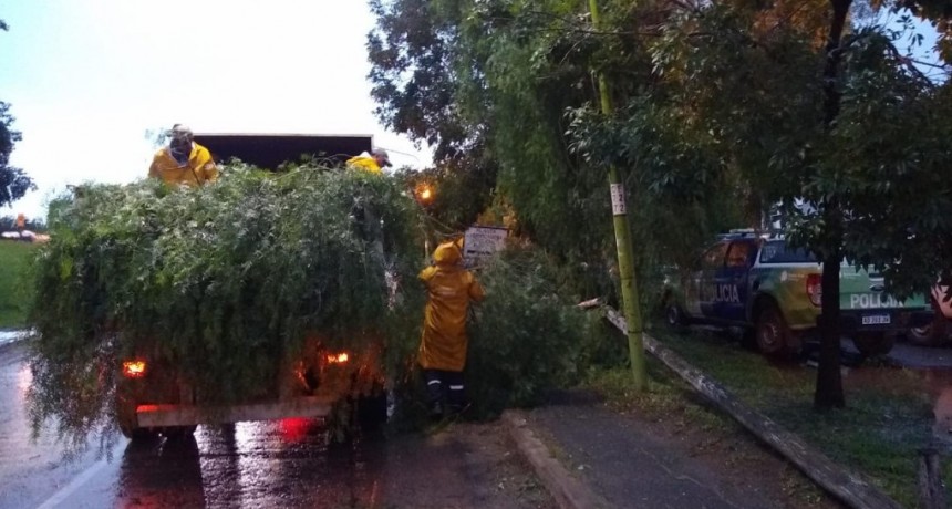 Intenso trabajo del personal municipal tras el temporal 