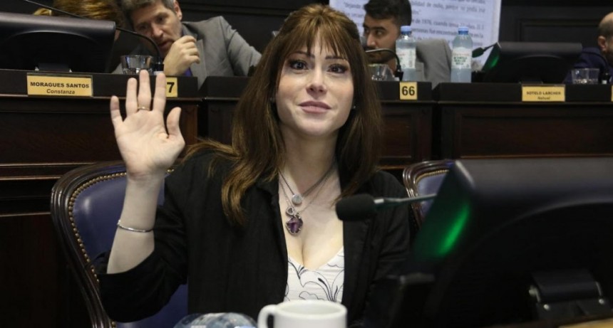  ALONSO LLEVO LA MEMORIA, VERDAD Y JUSTICIA A LA LEGISLATURA BONAERENSE