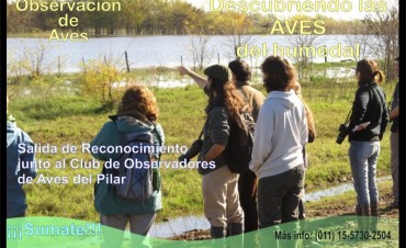Observaci�n de Aves en Pilar