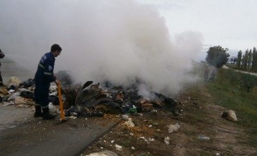 El Municipio intervino tras un incidente vial con un cami&oacute;n recolector de residuos org&aacute;nicos e industriales 