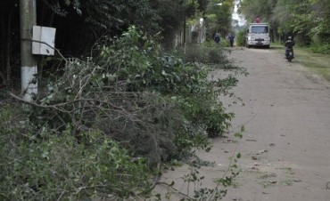 Reiteran a los vecinos el cronograma semanal de retiro de mont&iacute;culos verdes