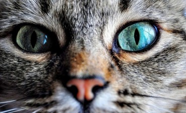 Cuando la realidad nos pide conciencia: H&aacute;bitos peque&ntilde;os, cambios gigantes