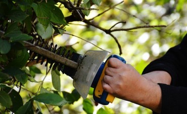 Contin&uacute;a abierta la inscripci&oacute;n para el Registro de Podadores
