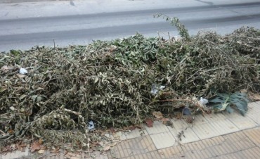 &iquest;Quien junta a las ramas en la zona c�ntrica?