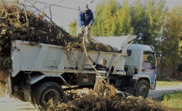 El Municipio retir&oacute; una numerosa cantidad de mont&iacute;culos arrojados en la v&iacute;a p&uacute;blica